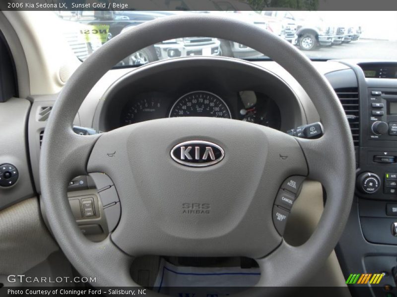 Sunset Gold / Beige 2006 Kia Sedona LX