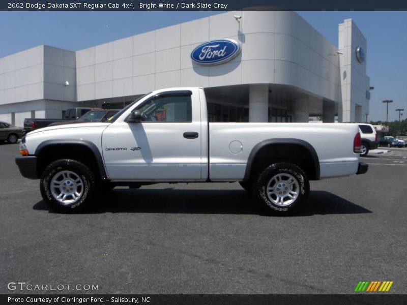 Bright White / Dark Slate Gray 2002 Dodge Dakota SXT Regular Cab 4x4