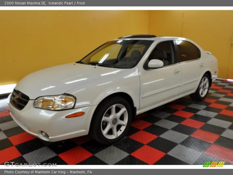 Icelandic Pearl / Frost 2000 Nissan Maxima SE