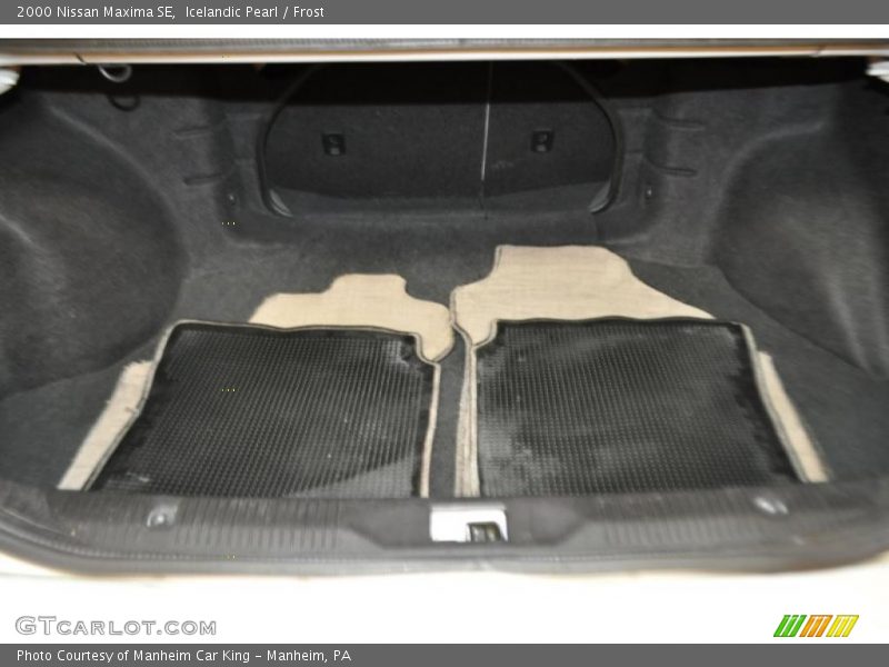 Icelandic Pearl / Frost 2000 Nissan Maxima SE