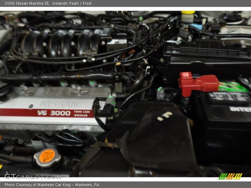 Icelandic Pearl / Frost 2000 Nissan Maxima SE