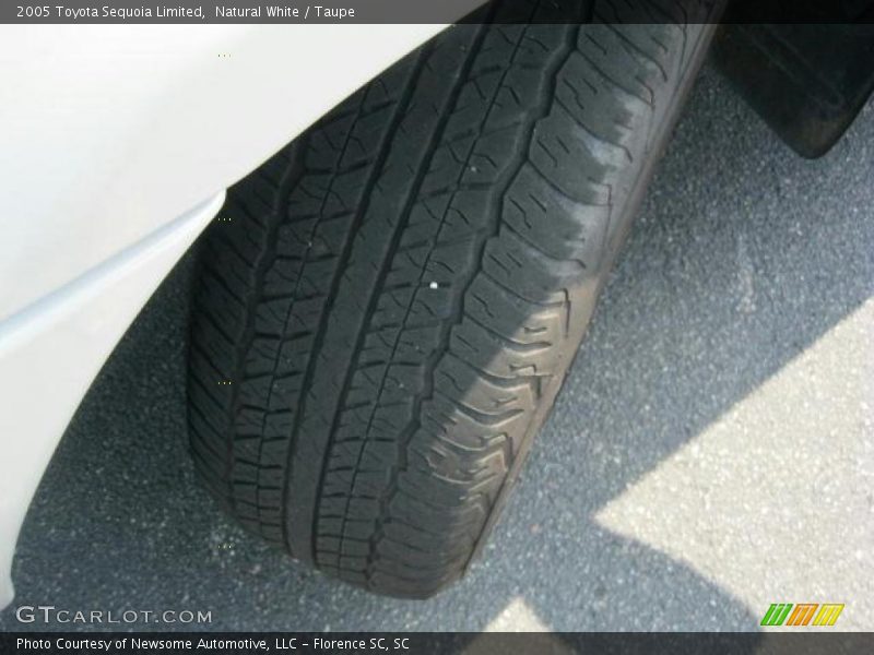 Natural White / Taupe 2005 Toyota Sequoia Limited