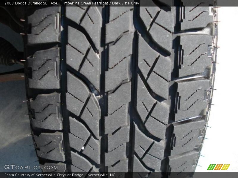 Timberline Green Pearlcoat / Dark Slate Gray 2003 Dodge Durango SLT 4x4