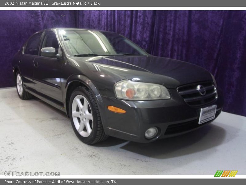 Gray Lustre Metallic / Black 2002 Nissan Maxima SE