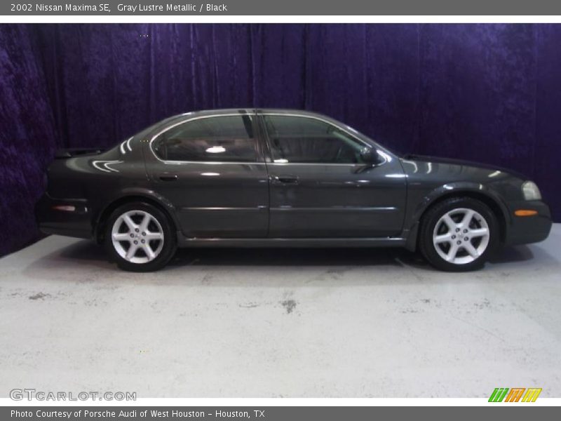 Gray Lustre Metallic / Black 2002 Nissan Maxima SE