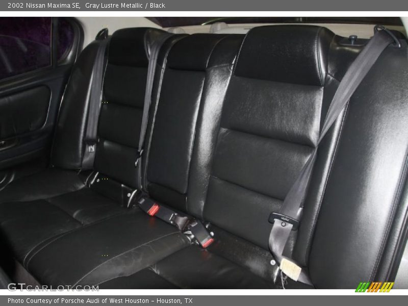 Gray Lustre Metallic / Black 2002 Nissan Maxima SE