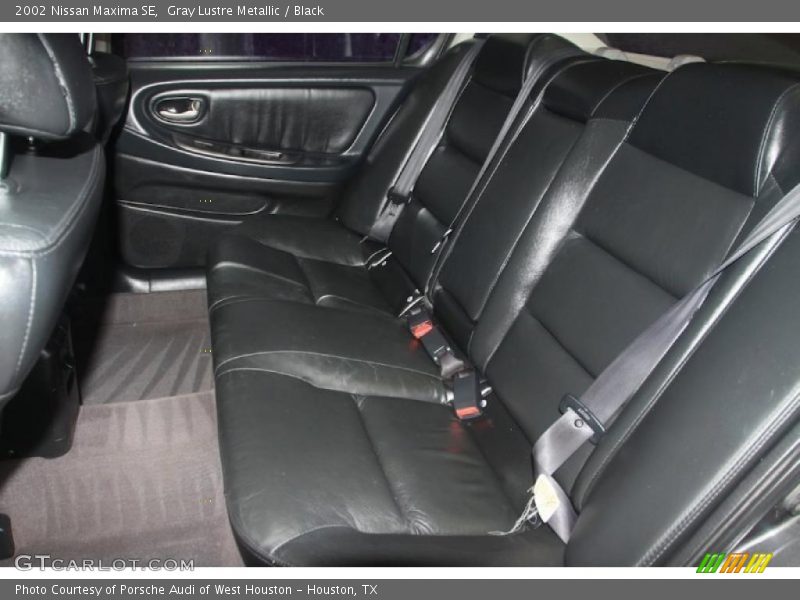 Gray Lustre Metallic / Black 2002 Nissan Maxima SE
