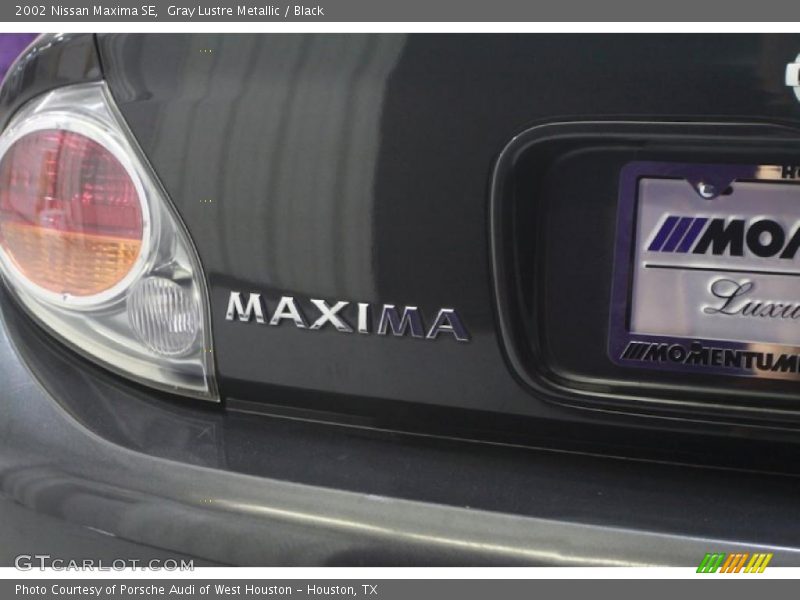 Gray Lustre Metallic / Black 2002 Nissan Maxima SE