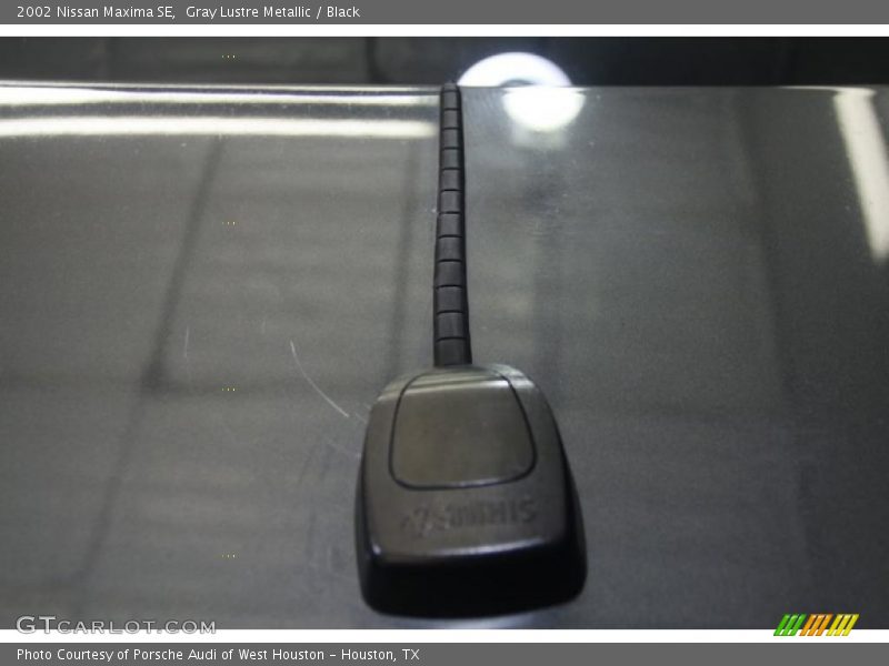 Gray Lustre Metallic / Black 2002 Nissan Maxima SE