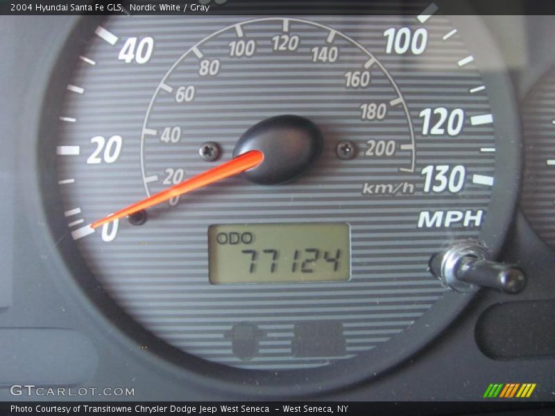 Nordic White / Gray 2004 Hyundai Santa Fe GLS