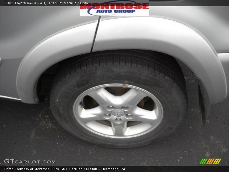 Titanium Metallic / Gray 2002 Toyota RAV4 4WD