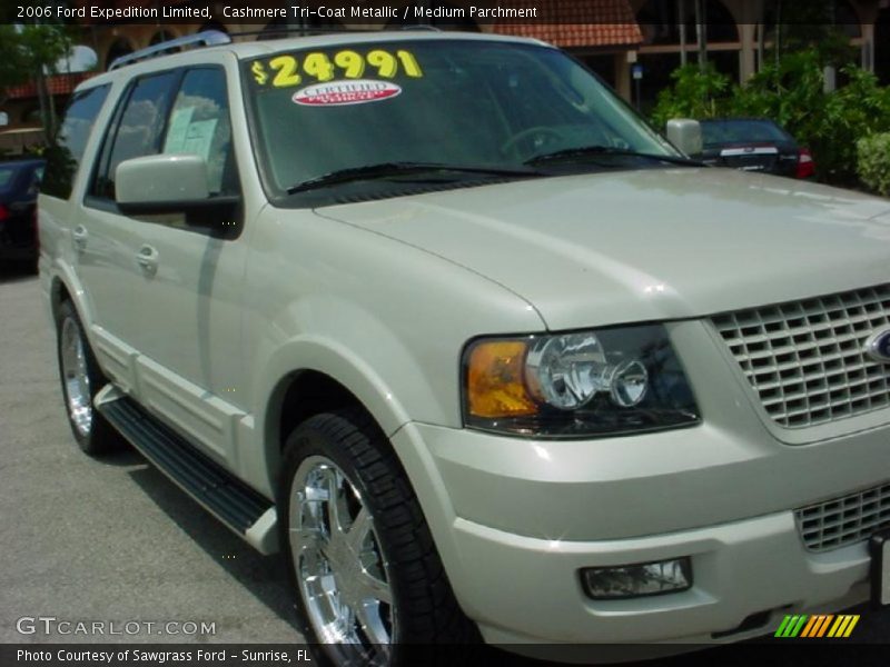 Cashmere Tri-Coat Metallic / Medium Parchment 2006 Ford Expedition Limited