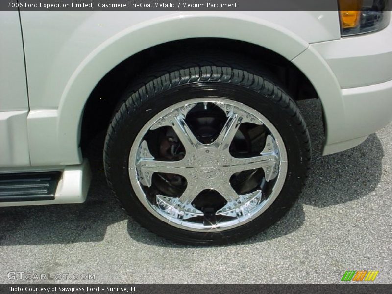 Cashmere Tri-Coat Metallic / Medium Parchment 2006 Ford Expedition Limited