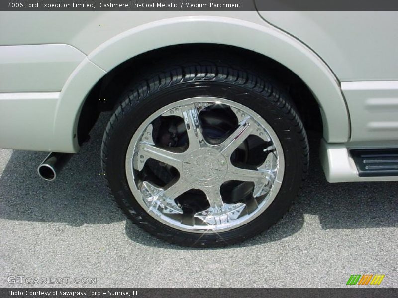 Cashmere Tri-Coat Metallic / Medium Parchment 2006 Ford Expedition Limited