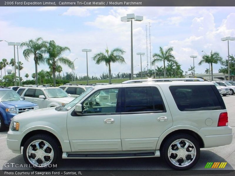 Cashmere Tri-Coat Metallic / Medium Parchment 2006 Ford Expedition Limited