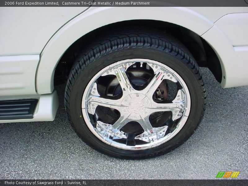 Cashmere Tri-Coat Metallic / Medium Parchment 2006 Ford Expedition Limited