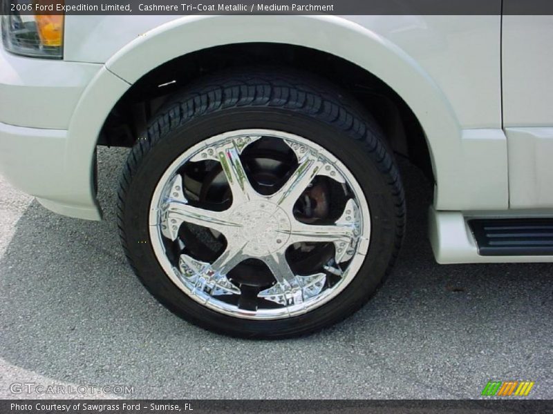 Cashmere Tri-Coat Metallic / Medium Parchment 2006 Ford Expedition Limited