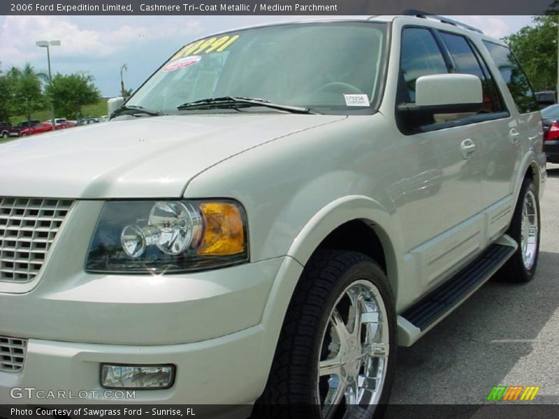 Cashmere Tri-Coat Metallic / Medium Parchment 2006 Ford Expedition Limited