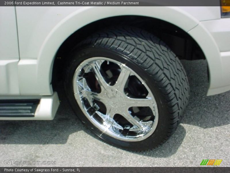 Cashmere Tri-Coat Metallic / Medium Parchment 2006 Ford Expedition Limited