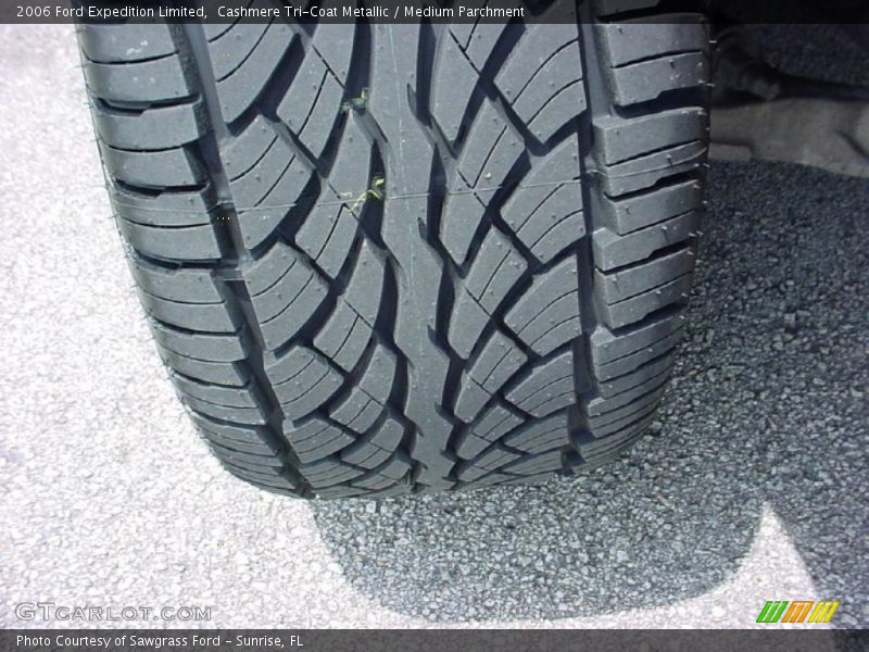 Cashmere Tri-Coat Metallic / Medium Parchment 2006 Ford Expedition Limited