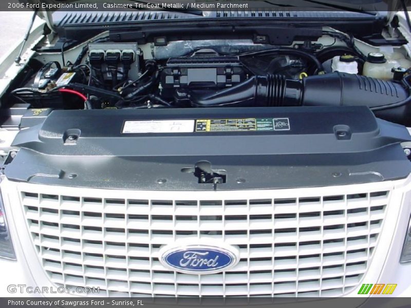 Cashmere Tri-Coat Metallic / Medium Parchment 2006 Ford Expedition Limited