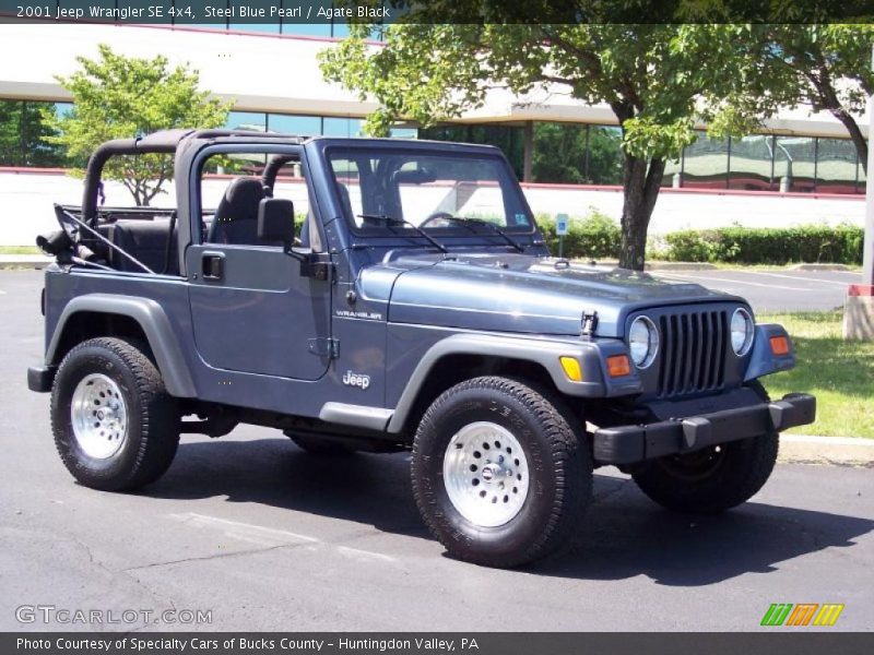 Steel Blue Pearl / Agate Black 2001 Jeep Wrangler SE 4x4