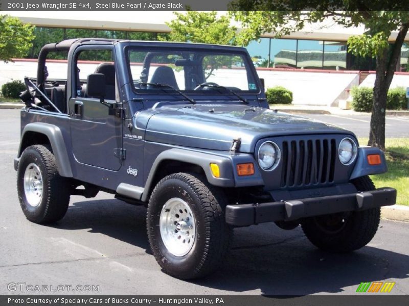 Steel Blue Pearl / Agate Black 2001 Jeep Wrangler SE 4x4