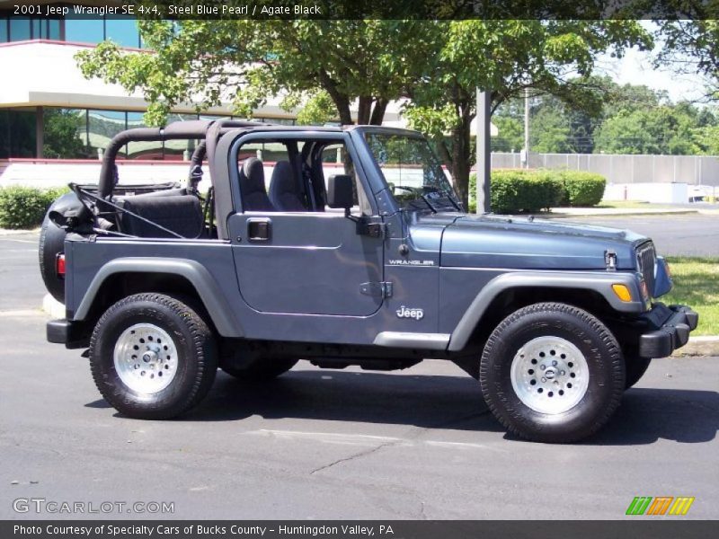Steel Blue Pearl / Agate Black 2001 Jeep Wrangler SE 4x4