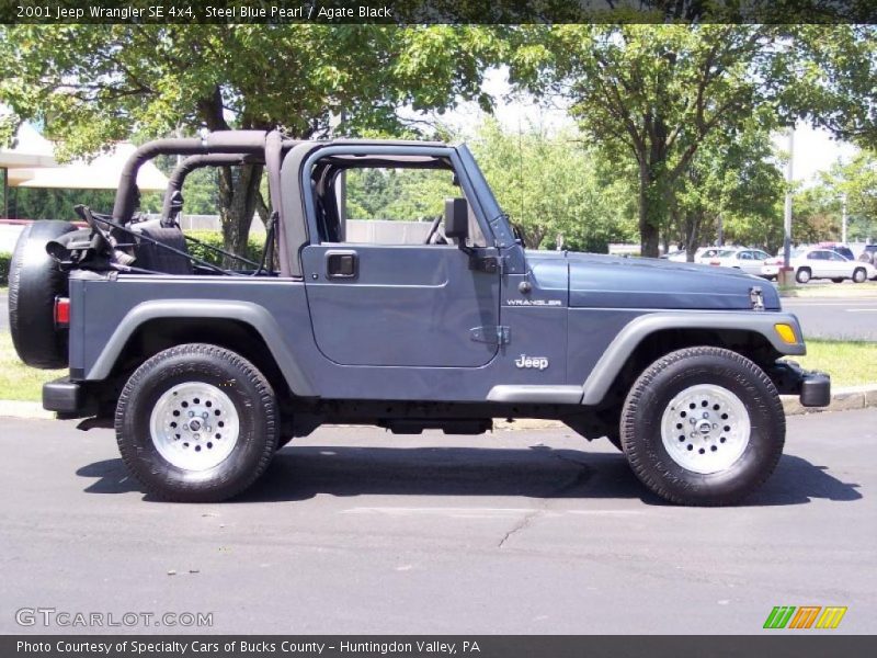 Steel Blue Pearl / Agate Black 2001 Jeep Wrangler SE 4x4