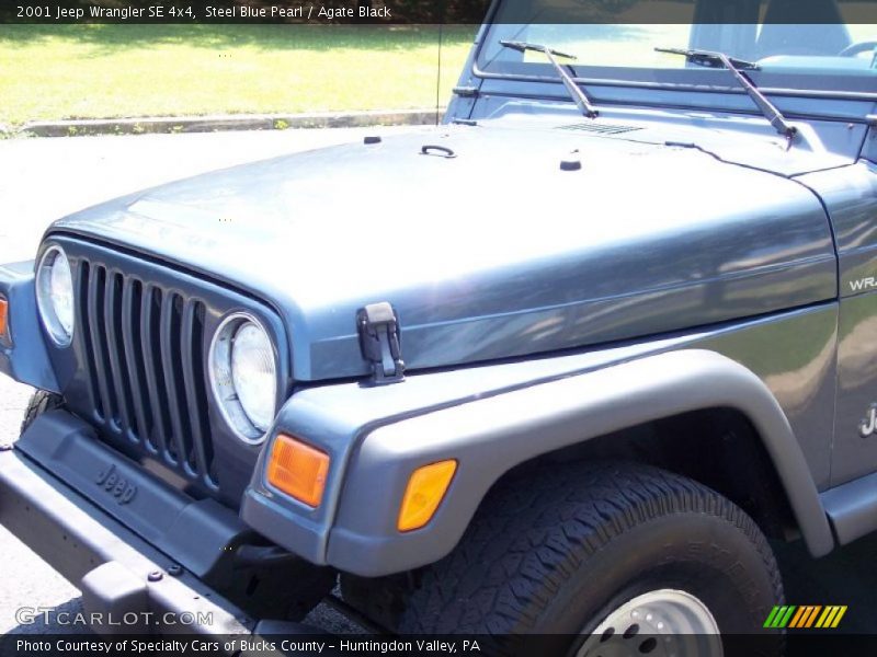 Steel Blue Pearl / Agate Black 2001 Jeep Wrangler SE 4x4