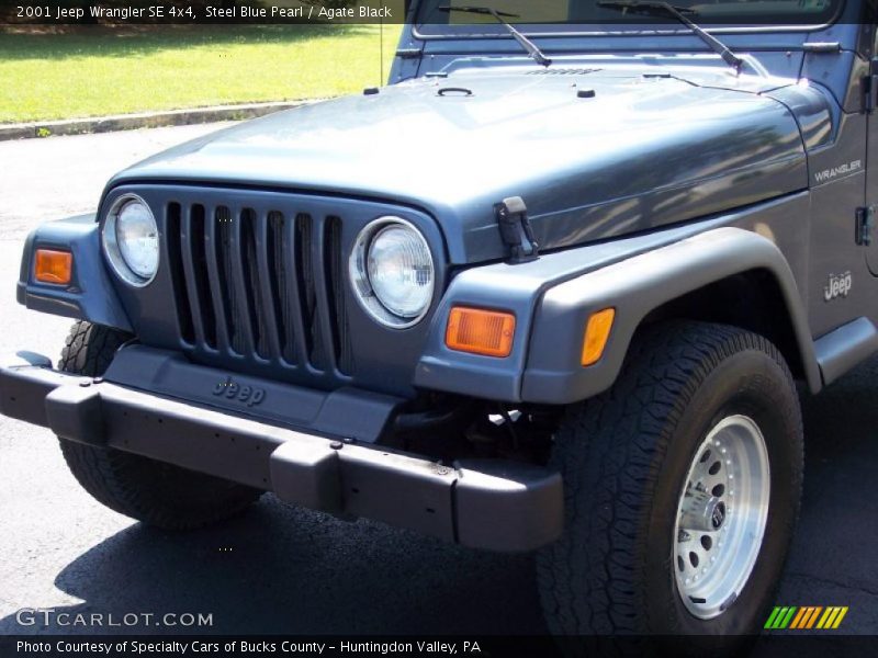 Steel Blue Pearl / Agate Black 2001 Jeep Wrangler SE 4x4