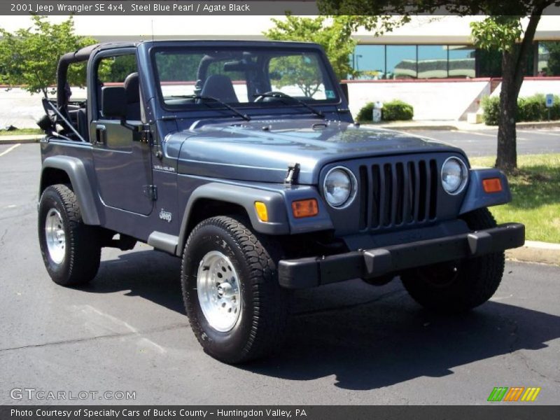 Steel Blue Pearl / Agate Black 2001 Jeep Wrangler SE 4x4