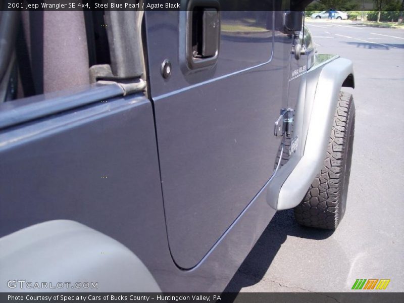 Steel Blue Pearl / Agate Black 2001 Jeep Wrangler SE 4x4