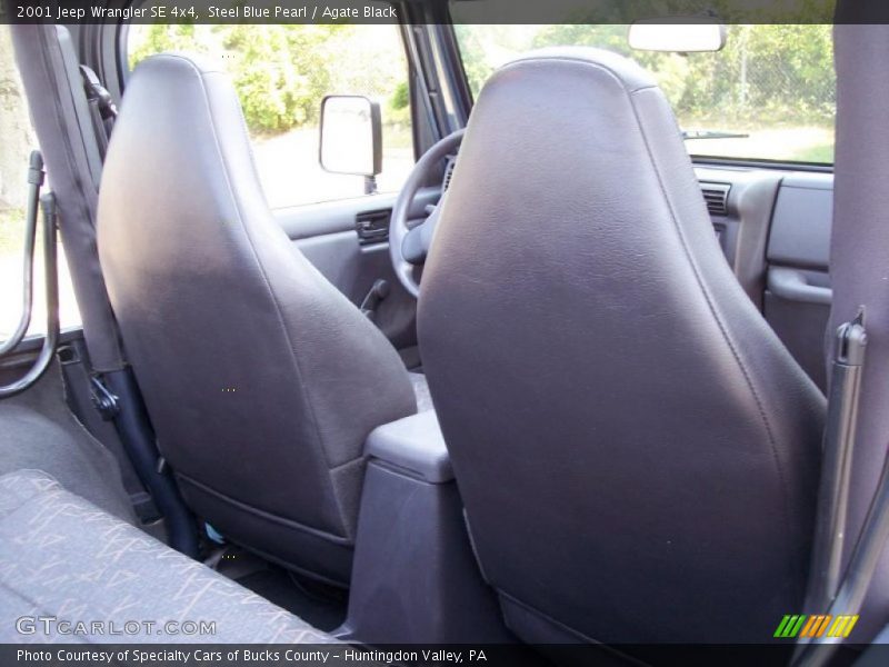 Steel Blue Pearl / Agate Black 2001 Jeep Wrangler SE 4x4