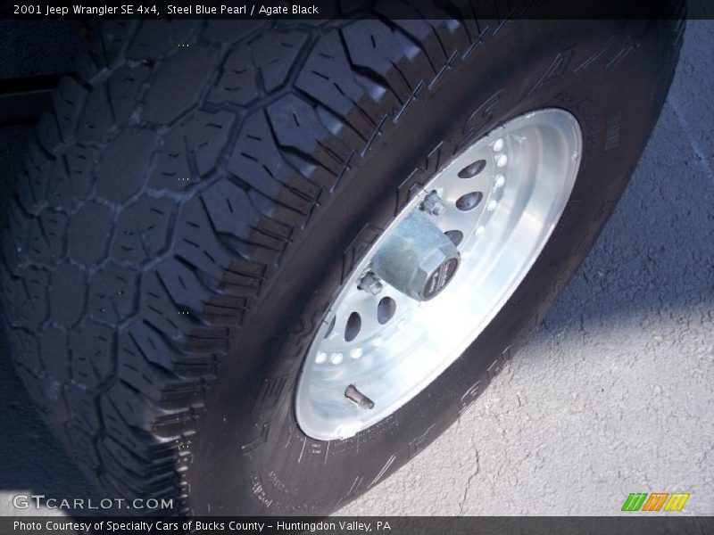 Steel Blue Pearl / Agate Black 2001 Jeep Wrangler SE 4x4