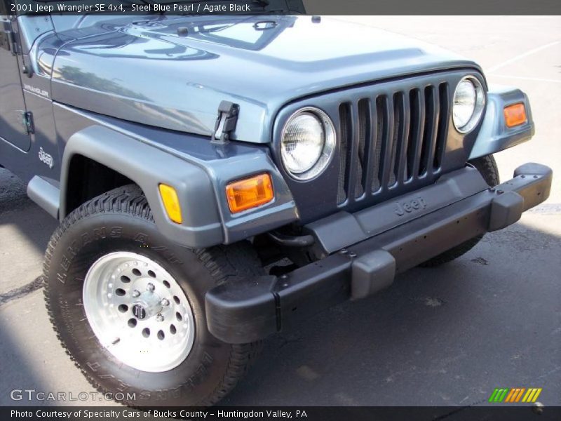 Steel Blue Pearl / Agate Black 2001 Jeep Wrangler SE 4x4