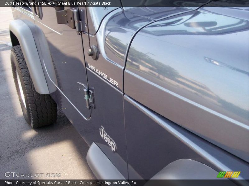 Steel Blue Pearl / Agate Black 2001 Jeep Wrangler SE 4x4