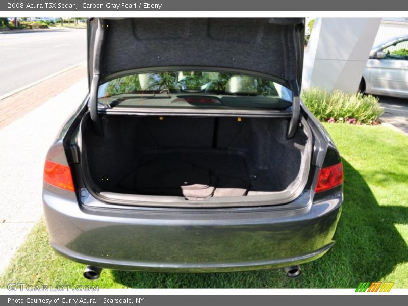 Carbon Gray Pearl / Ebony 2008 Acura TSX Sedan
