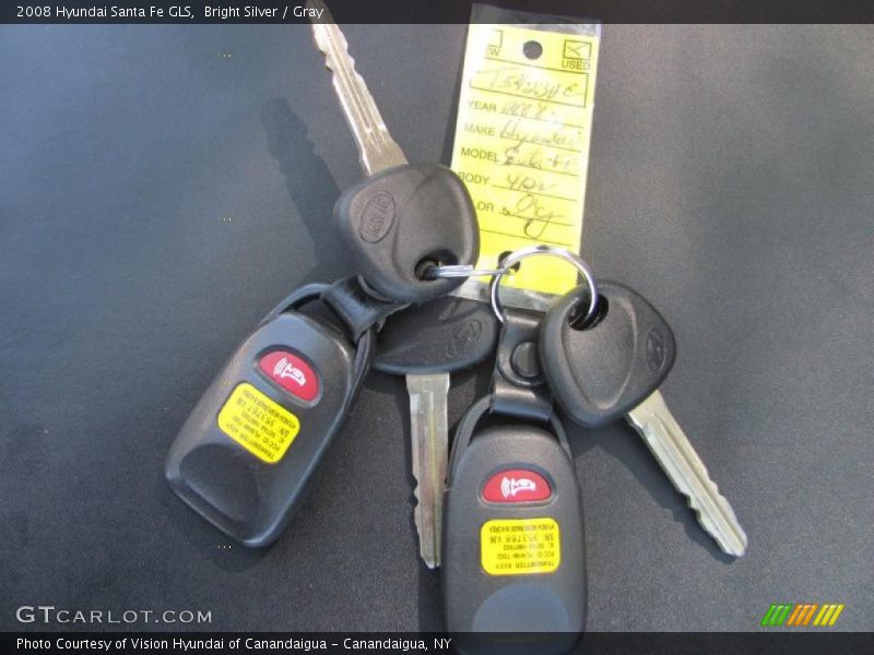 Bright Silver / Gray 2008 Hyundai Santa Fe GLS