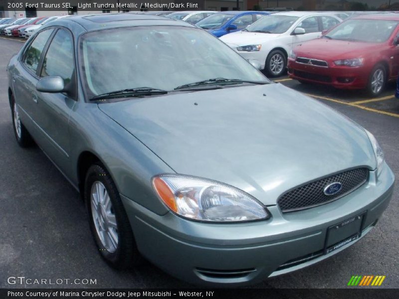 Light Tundra Metallic / Medium/Dark Flint 2005 Ford Taurus SEL