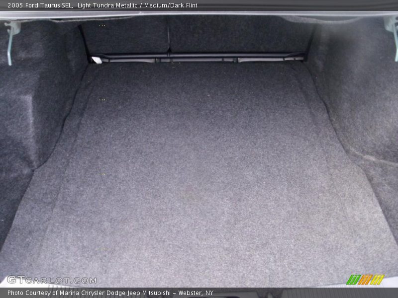 Light Tundra Metallic / Medium/Dark Flint 2005 Ford Taurus SEL