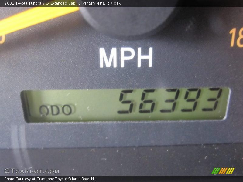 Silver Sky Metallic / Oak 2001 Toyota Tundra SR5 Extended Cab