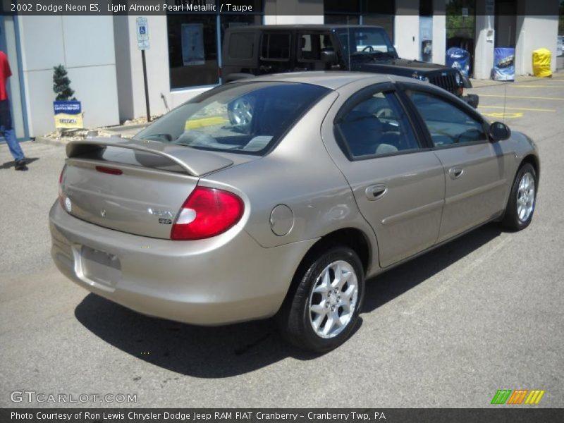 Light Almond Pearl Metallic / Taupe 2002 Dodge Neon ES