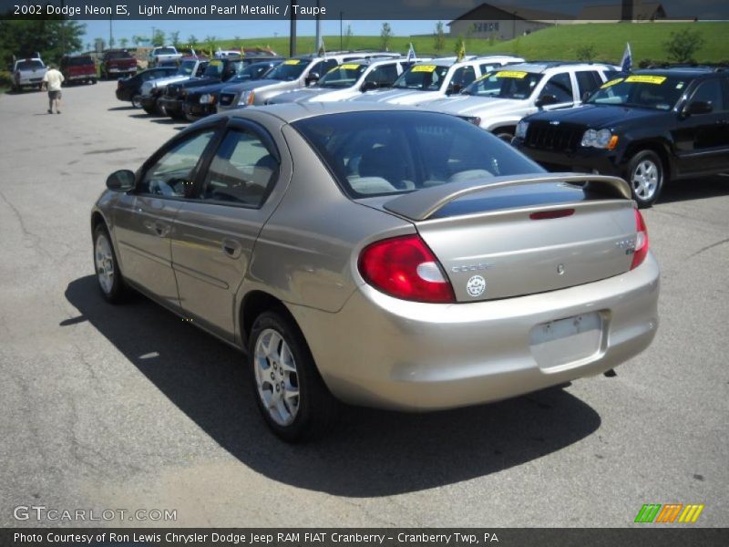 Light Almond Pearl Metallic / Taupe 2002 Dodge Neon ES