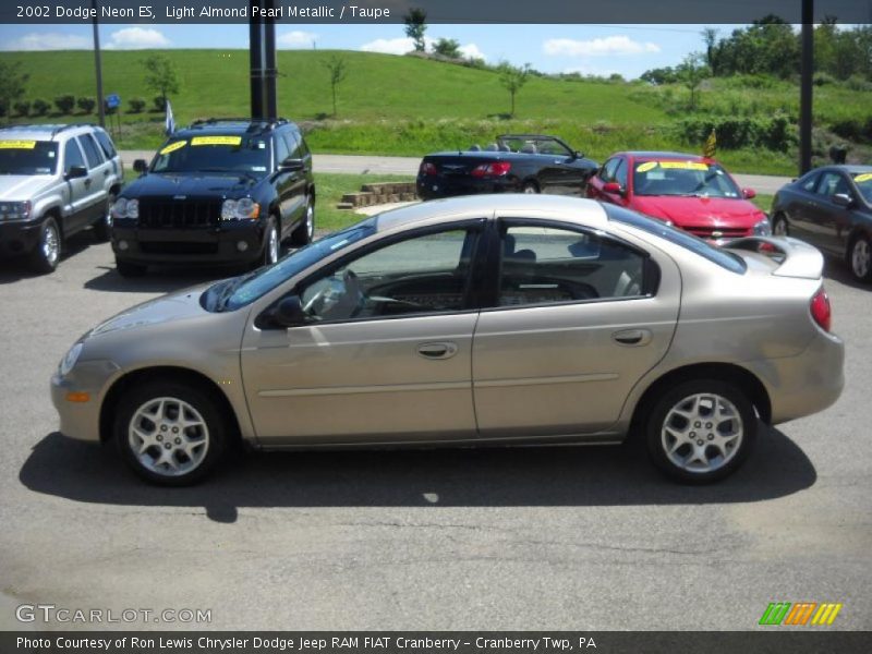 Light Almond Pearl Metallic / Taupe 2002 Dodge Neon ES