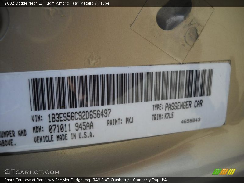 Light Almond Pearl Metallic / Taupe 2002 Dodge Neon ES