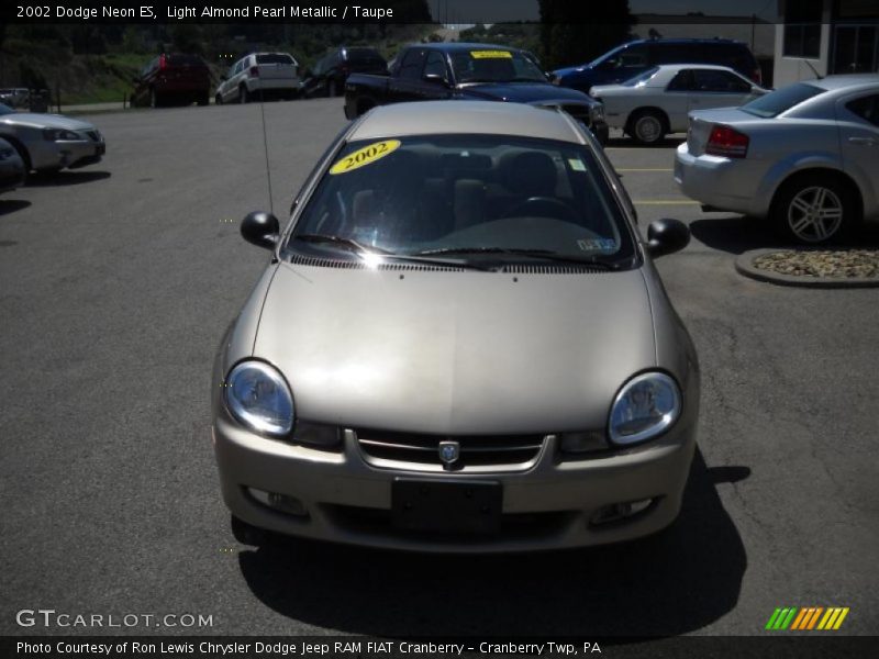Light Almond Pearl Metallic / Taupe 2002 Dodge Neon ES