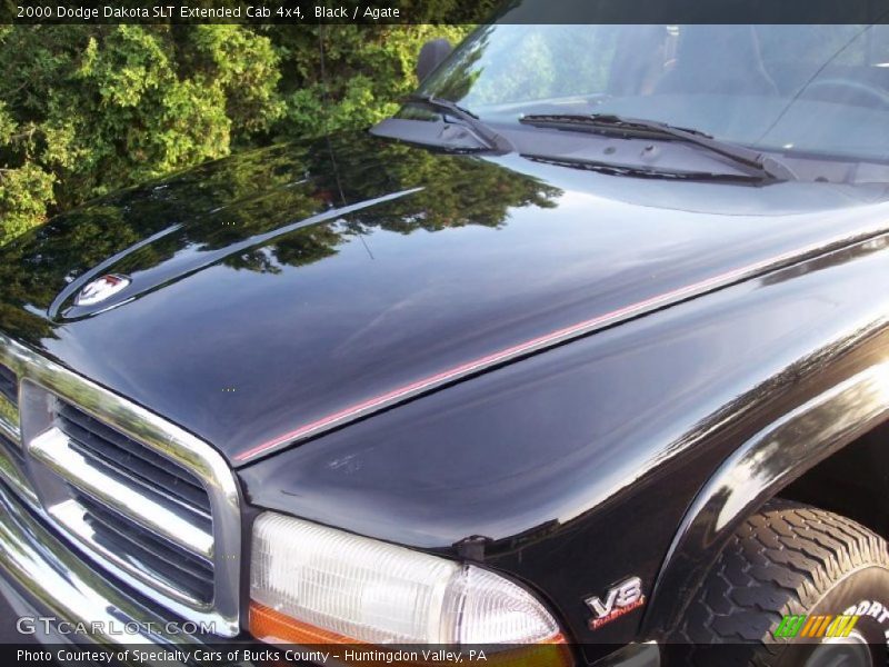 Black / Agate 2000 Dodge Dakota SLT Extended Cab 4x4