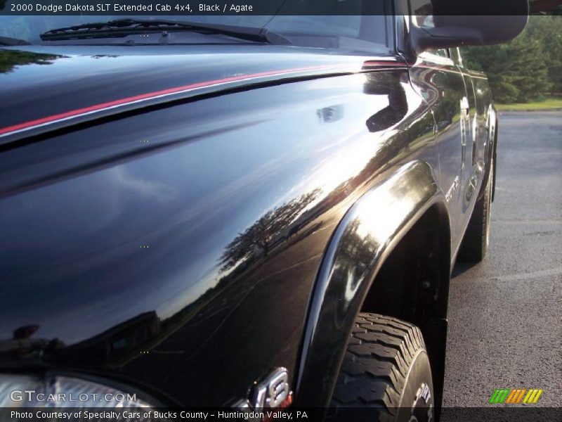 Black / Agate 2000 Dodge Dakota SLT Extended Cab 4x4