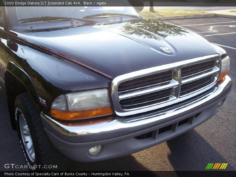 Black / Agate 2000 Dodge Dakota SLT Extended Cab 4x4